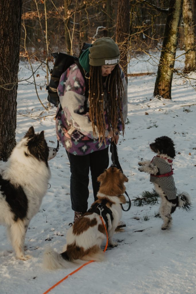 Tages- & Urlaubsbetreuung